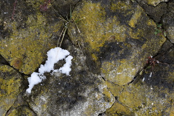 石垣に張り付く苔と雪