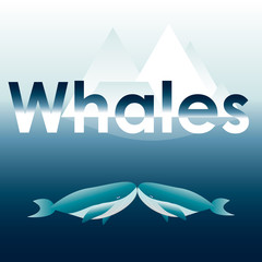 vector illustration of two blue whales 
