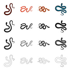 Vector design of mammal and danger icon. Collection of mammal and medicine stock symbol for web.