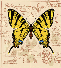 Fototapeta na wymiar Vector banner with drawing of a Swallowtail butterfly and it larva on the background of old manuscript with ink stains. Illustration of a butterfly machaon with yellow wings in retro style