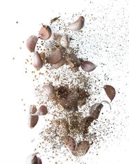 Garlic,various spices, pepper and salt splash or explosion flying in the air isolated on white,Stop motion