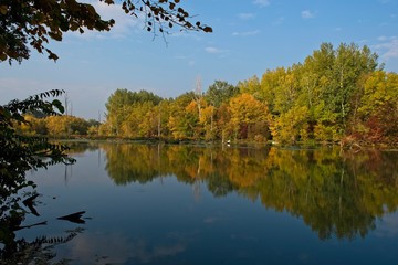 Fototapeta na wymiar Water arm in Danubian wetland, Malinovo, Slovakia, Europe
