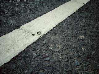 Fototapeta premium A cracked on asphalt road. The white painting is closed up.
