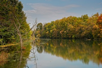 Water arm in Danubian wetland, Malinovo, Slovakia, Europe