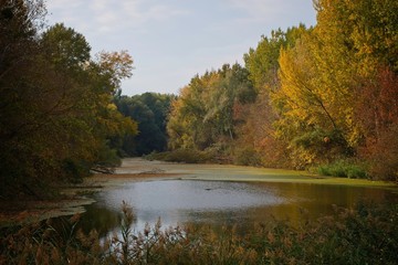 Water arm in Danubian wetland, Malinovo, Slovakia, Europe