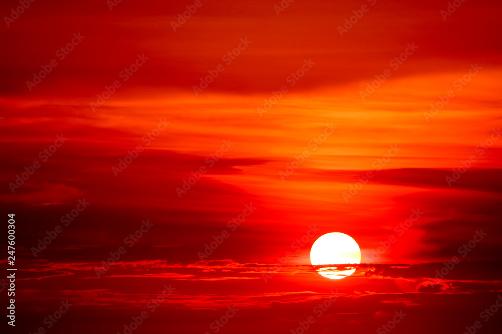 Wall mural sunset and colorful flame cloud silhouette tree on red sky