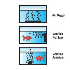 Different types of bubble filters for the fish tank. The scheme is isolated on a white