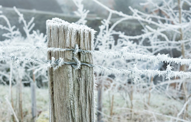 Frost covered old timber fence post