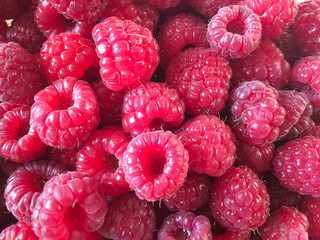 Fresh and sweet red raspberries texture background. Raspberry fruit pile background. Selection of freshly picked ripe organic raspberries background. Delicious first class raspberries heap background