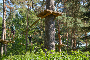 rope park in the forest