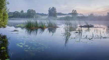 Fototapeta na wymiar Foggy summer landscape with small forest river. Summerall hazy evening.Twilight.Calm stream of river flowing between the woods and meadows covered by fog.Colorful clouds in sky at sunset