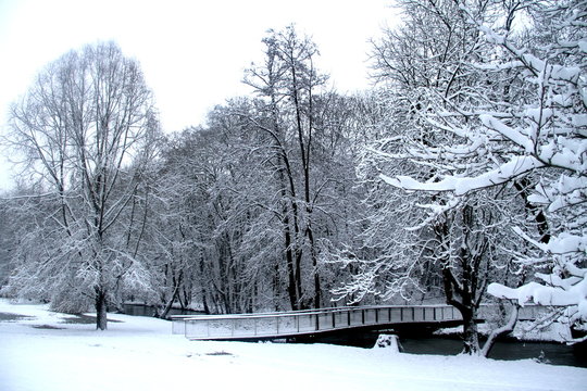 Paysage sous la neige