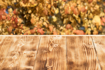 wooden pier and autumn