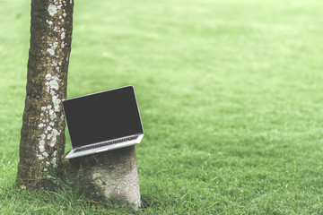 Mockup of modern laptop with black screen in the green tropical park of Bali island.