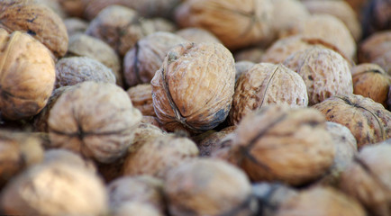 Closer looking at walnuts.