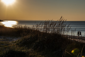 Fototapeta na wymiar Sun setting over ocean on a windless day with straws in the foreground