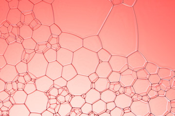 Geometric cells formed by soap bubbles and water, for background or texture