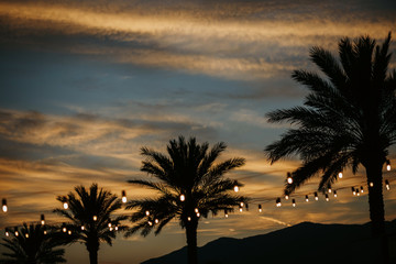 Obraz premium Yellow lights hang between the green palms on the sunset