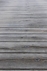 Obraz premium frost wood texture background