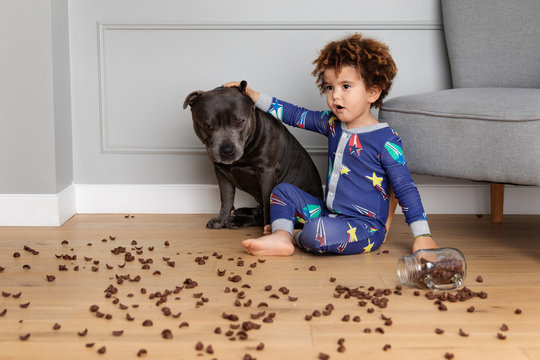 Boy and dog spill a jar of cereals on floor