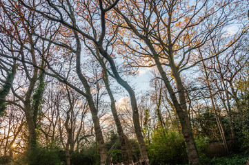 Conservation volunteers protected and improved green spaces