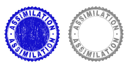 Grunge ASSIMILATION watermarks isolated on a white background. Rosette seals with grunge texture in blue and grey colors. Vector rubber watermark of ASSIMILATION tag inside round rosette.