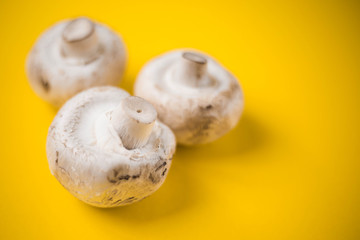 Mushrooms champignons on a yellow background