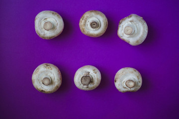 Mushrooms champignons on a violet background