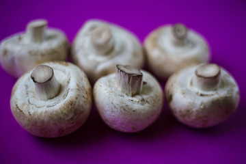 Mushrooms champignons on a violet background