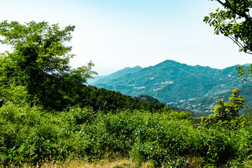 Mountains and Hills on Summer in Genova Italy with Green Plants and Trees