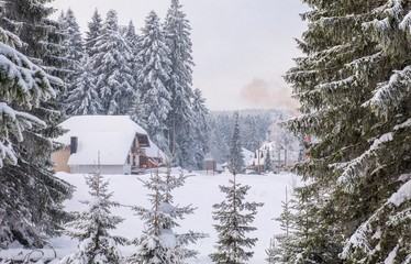 snow landscape of rural mountain village