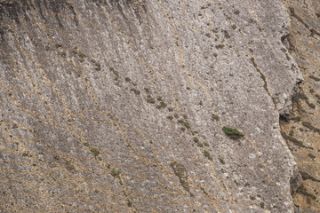 Natural rocky background texture