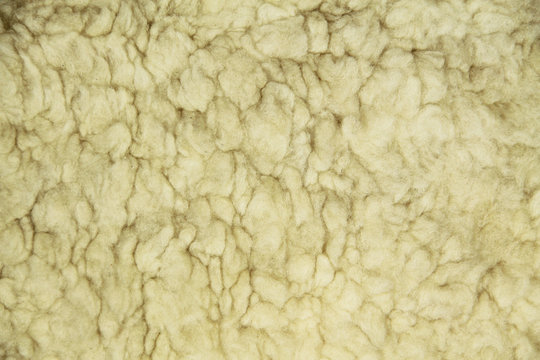 close photo of sheep wool useful for background