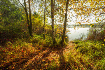 Herbst am See mit Bäumen und Wasser