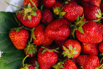 Red strawberries on a white plate. A lot of berries. Summer fruits