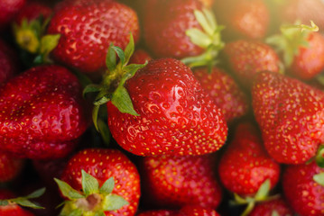 Red strawberries on a white plate. A lot of berries. Summer fruits