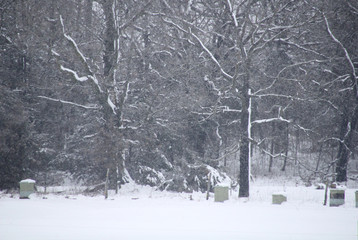 Snowy Beehive Apiary