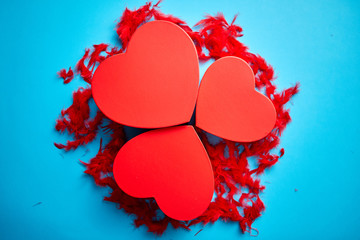 Three red, heart shaped gift boxes placed on blue background among red feathers