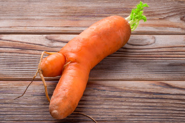 ugly vegetable with double carrot on wooden background