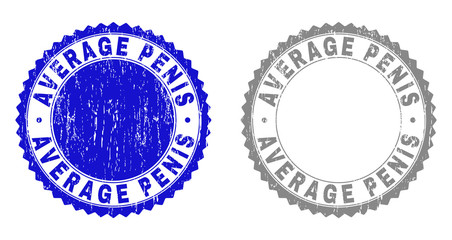 Grunge AVERAGE PENIS stamp seals isolated on a white background. Rosette seals with distress texture in blue and gray colors. Vector rubber imitation of AVERAGE PENIS tag inside round rosette.