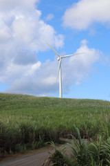 Eoliennes Guadeloupe