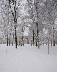 winter park