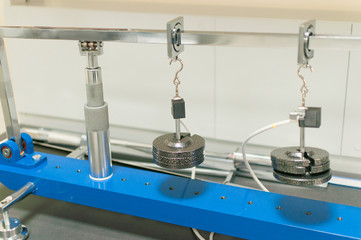 weights masses for Hooke’s law experiment