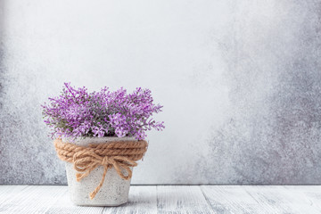 Small purple flowers in gray ceramic pots on stone background Rustic style