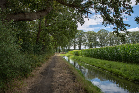 Dalen Bilder Durchsuchen 281 Archivfotos, und Videos