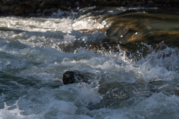 Stromschnellen Fluss Helenental