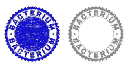 Grunge BACTERIUM stamp seals isolated on a white background. Rosette seals with distress texture in blue and grey colors. Vector rubber imitation of BACTERIUM title inside round rosette.