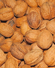 walnuts close up  