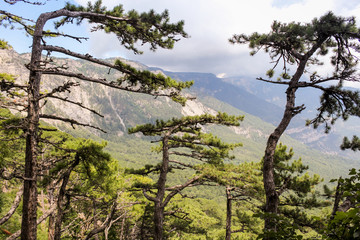 Fototapeta na wymiar Crimean mountain landscape.