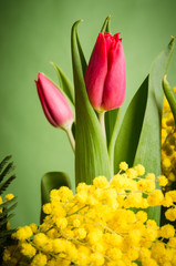 Spring bouquet with tulip and mimosa